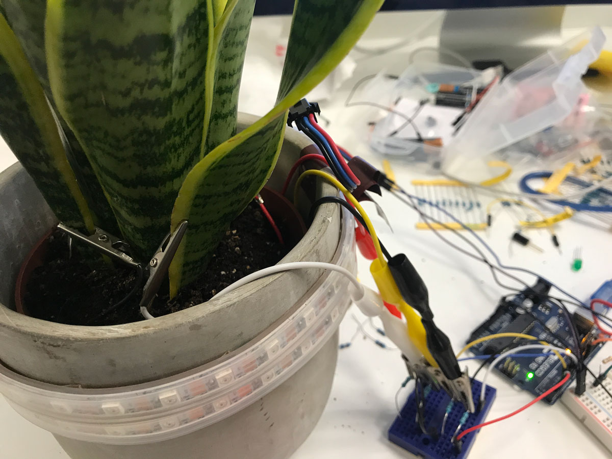 prototype of connected plant